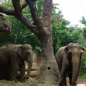 Meet your Posher, Jeana